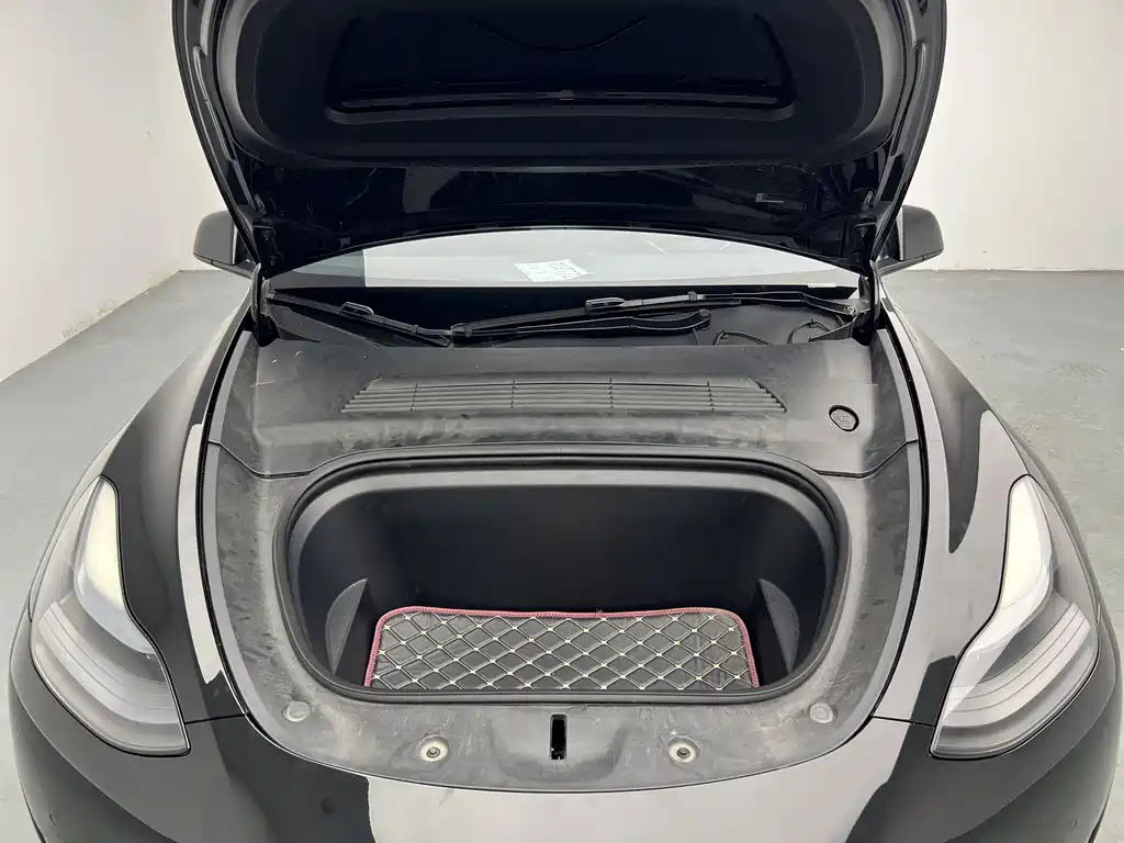 Tesla Model Y — миниатюра 11