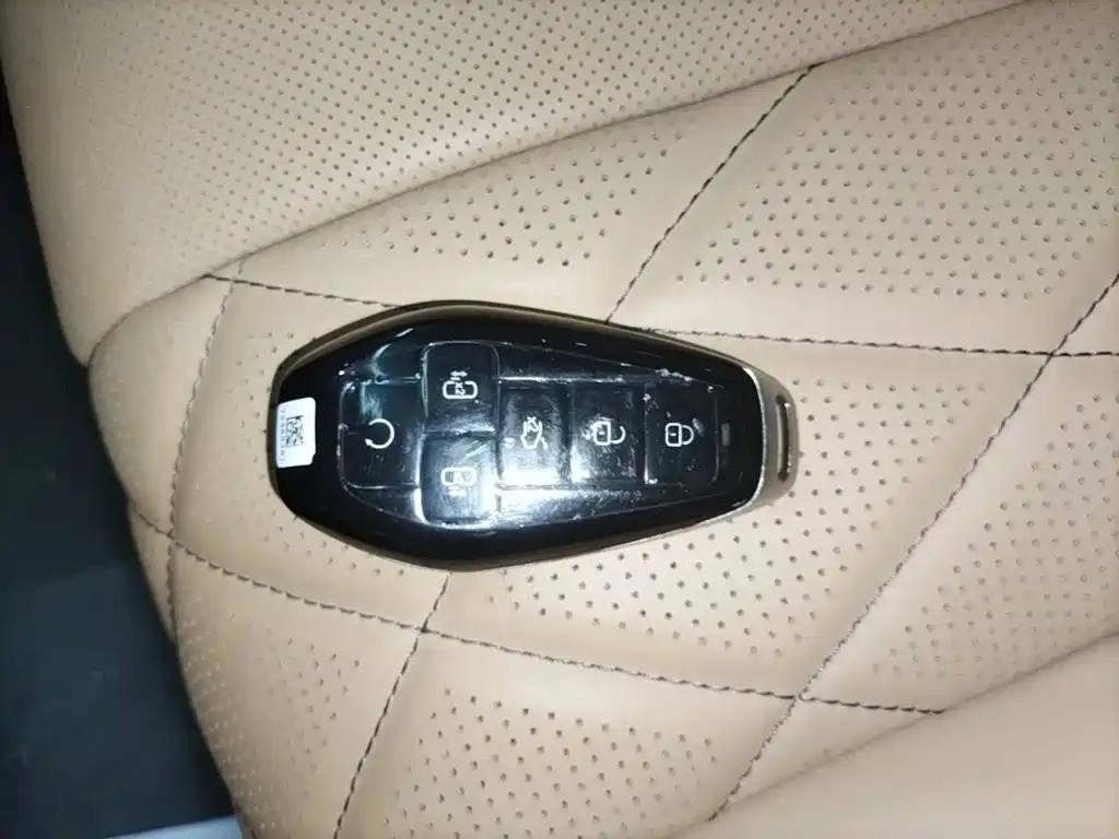 Denza Denza D9 — миниатюра 9