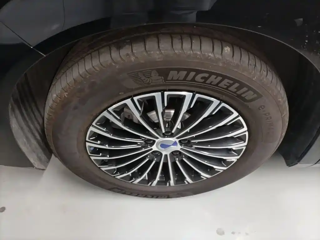 Denza Denza D9 — миниатюра 23