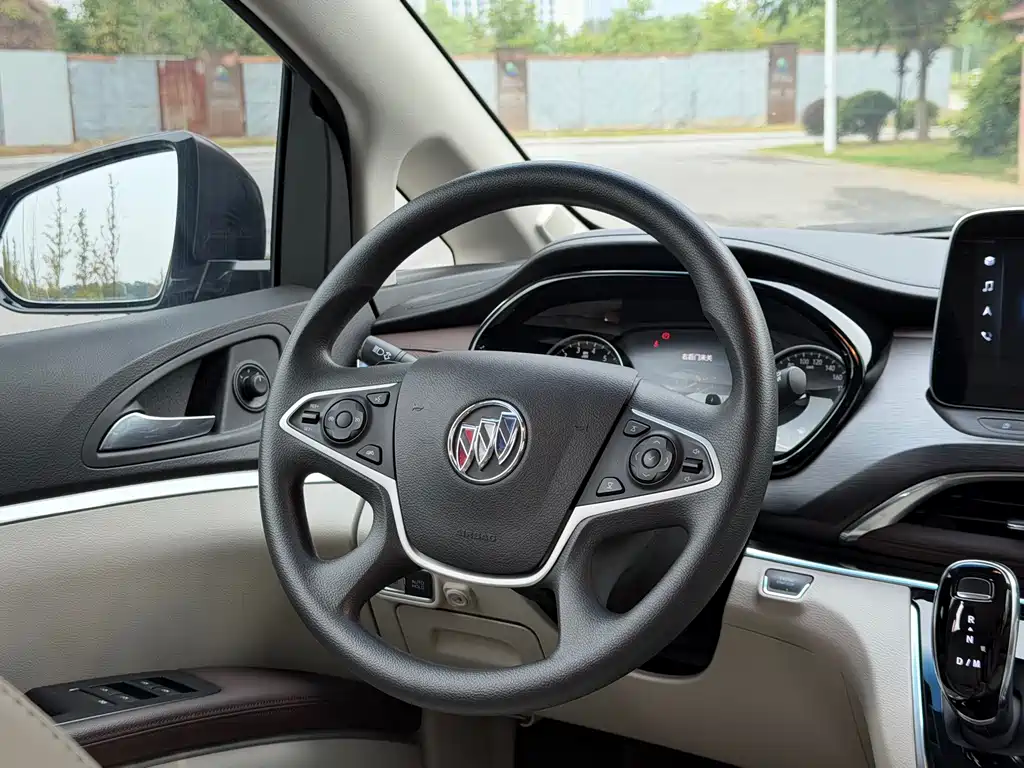 Buick GL8 — миниатюра 18