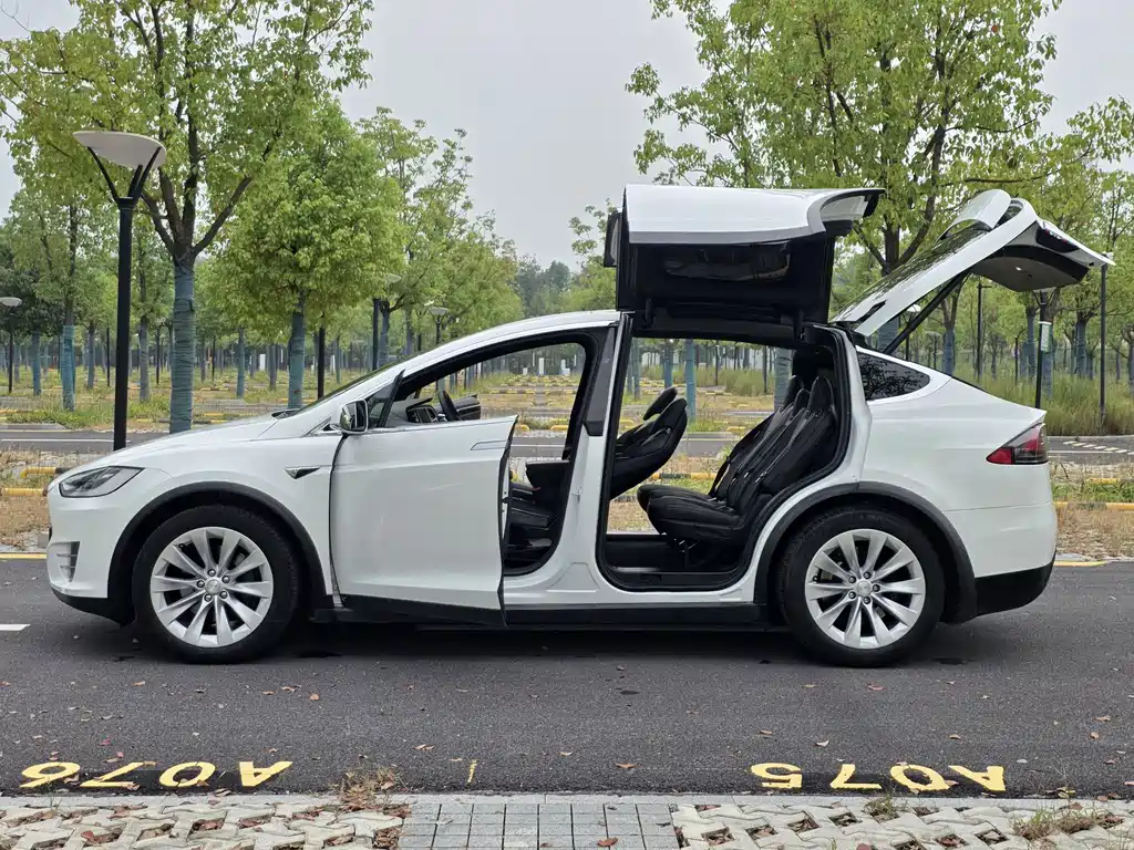 Tesla Model X — миниатюра 25