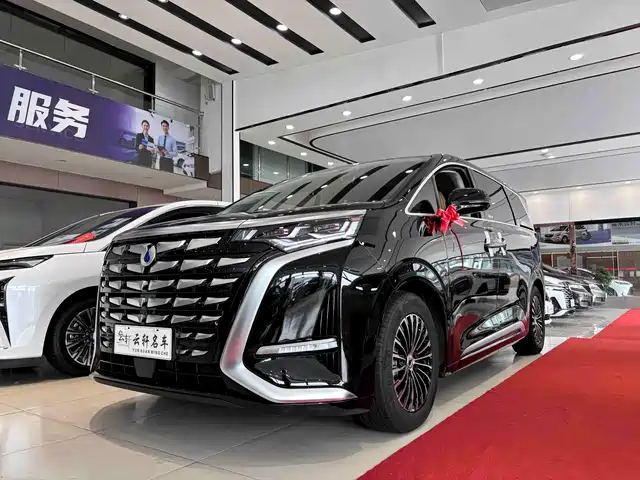 2024 Denza D9