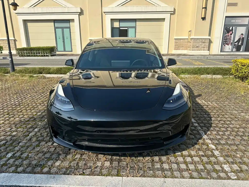 Tesla Model 3 — миниатюра 2