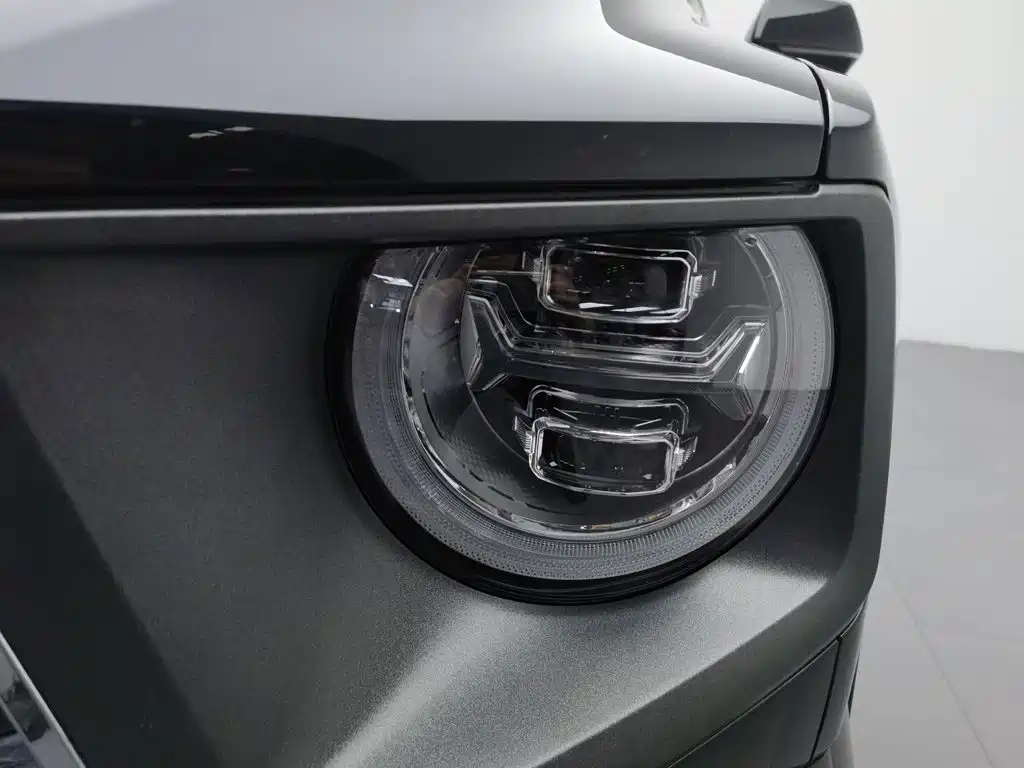 Haval Big Dog PLUS New Energy — миниатюра 7