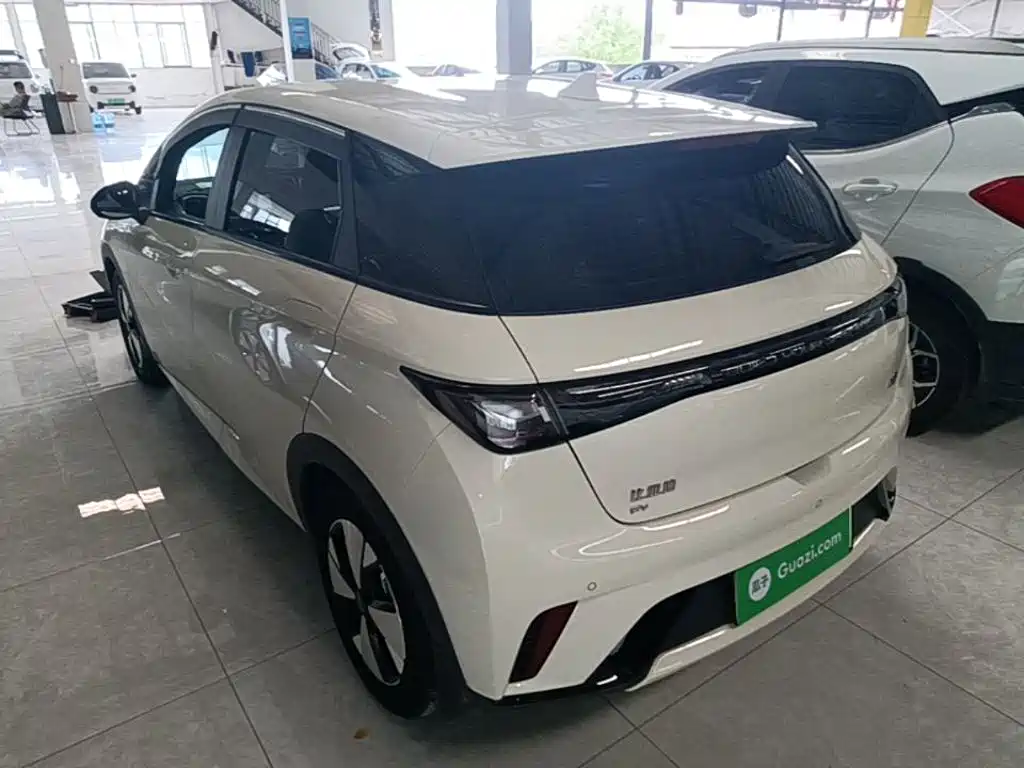BYD Dolphin — миниатюра 5