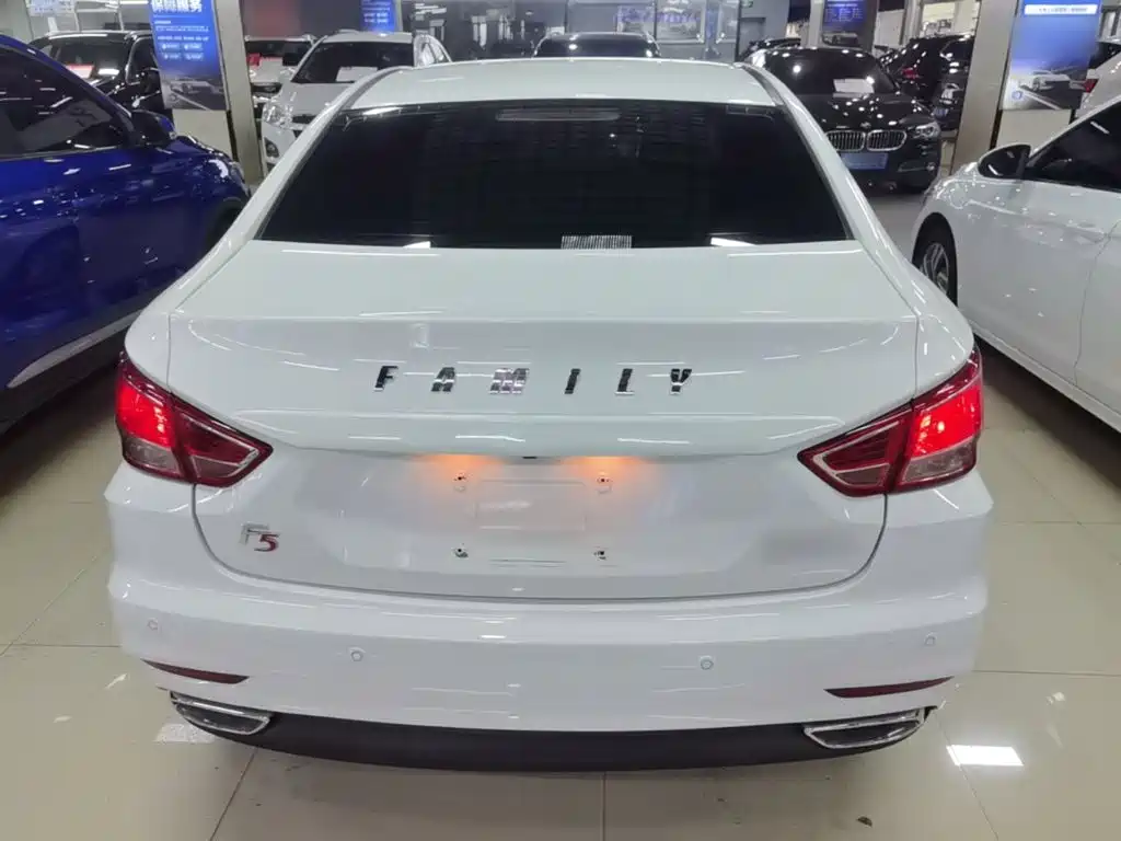 Haima Familia F5 — миниатюра 6