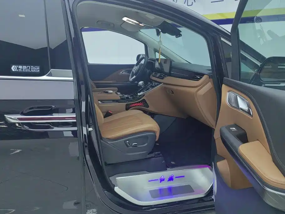 Hongqi HQ9 PHEV 2024 2.0T