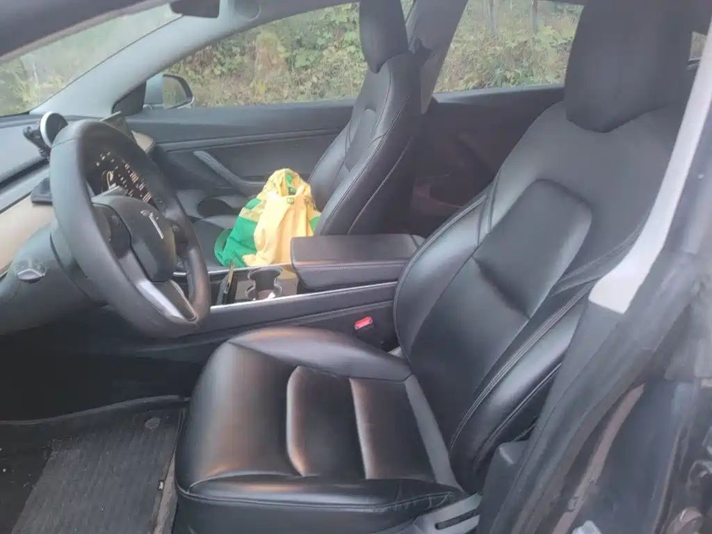 Tesla Model 3 — миниатюра 16