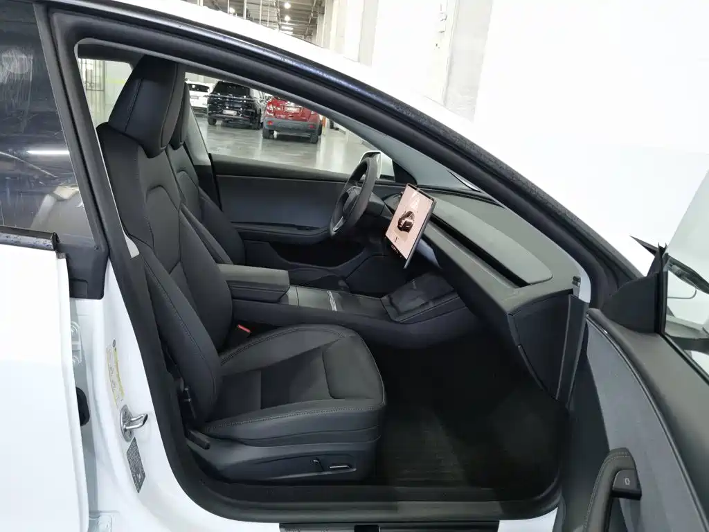 Tesla Model 3 — миниатюра 23