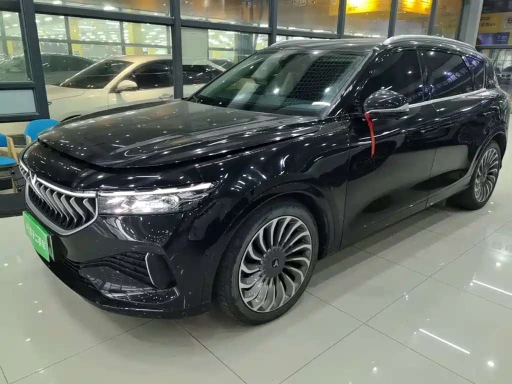 VOYAH FREE