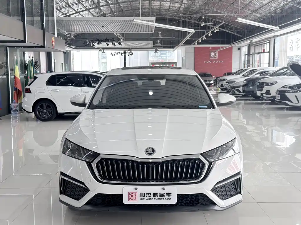 Skoda Octavia — миниатюра 2