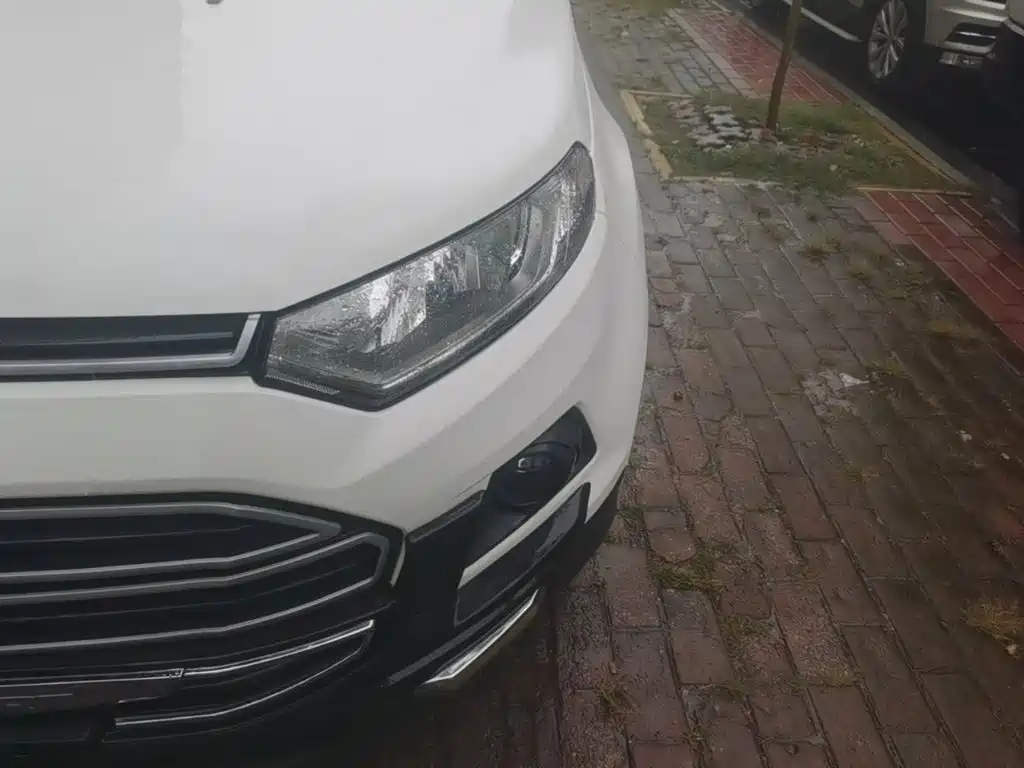 Ford Ecosport — миниатюра 24