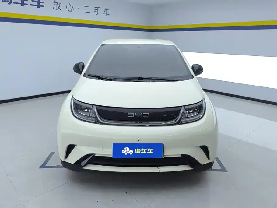 BYD Dolphin — миниатюра 2