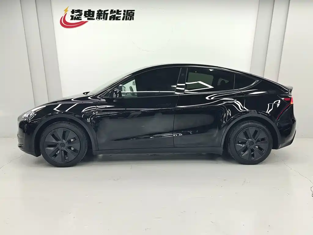 Tesla Model Y — миниатюра 5