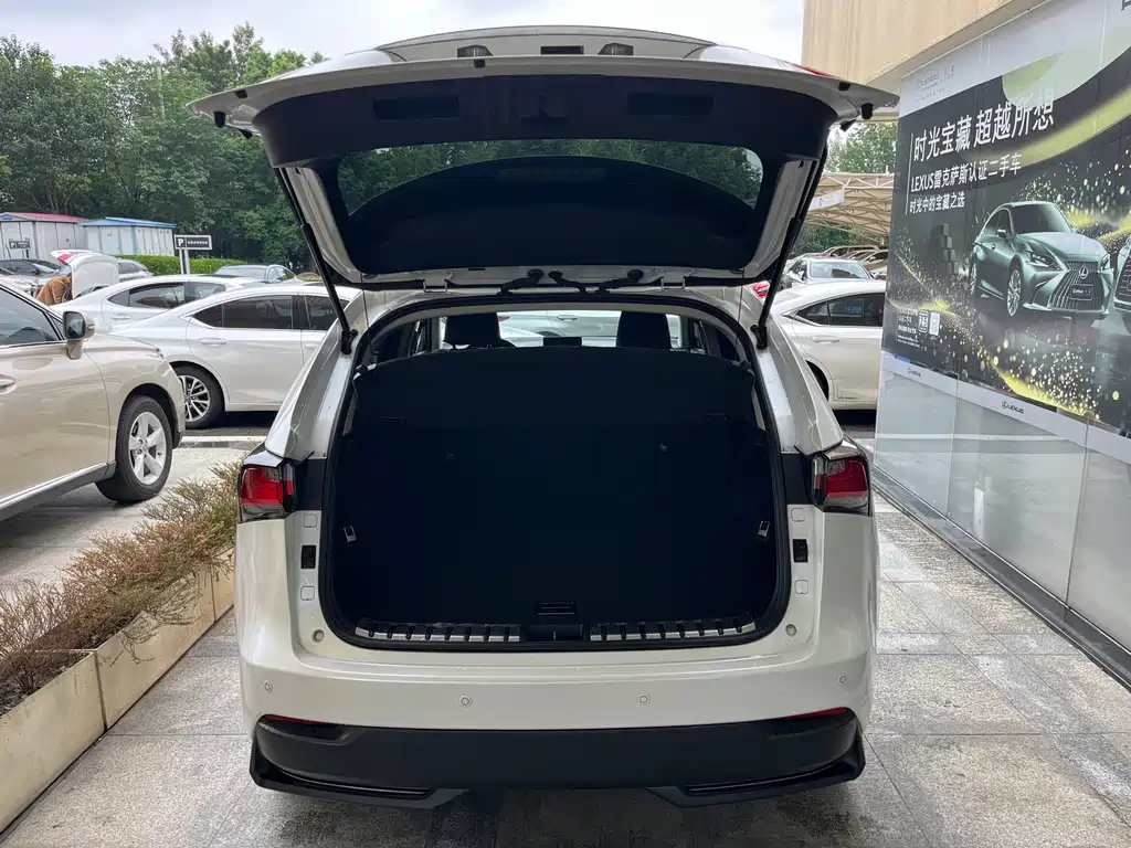 Lexus NX — миниатюра 8