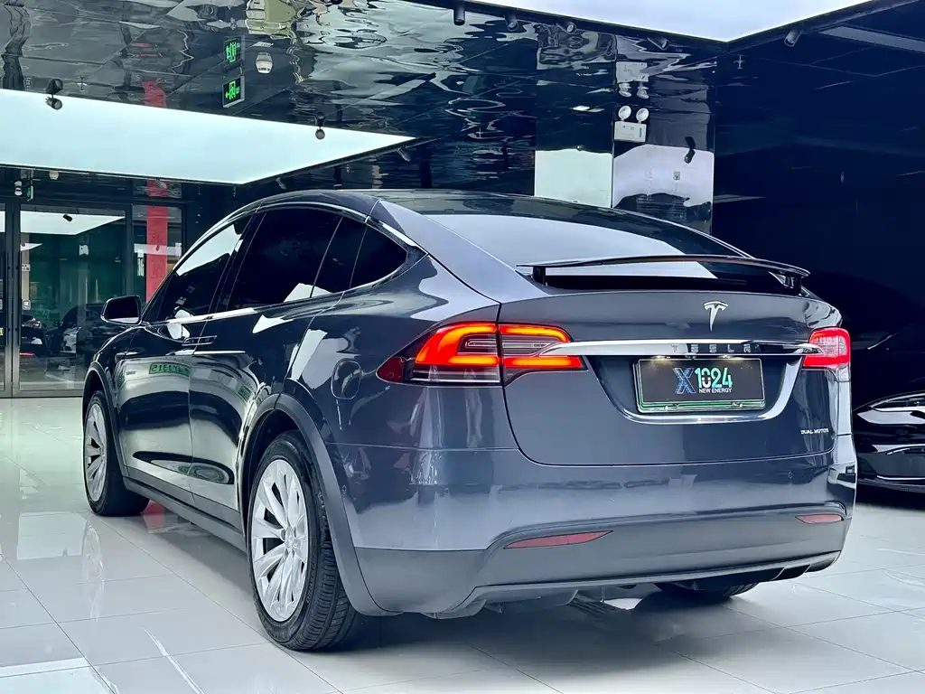 Tesla Model X — миниатюра 7