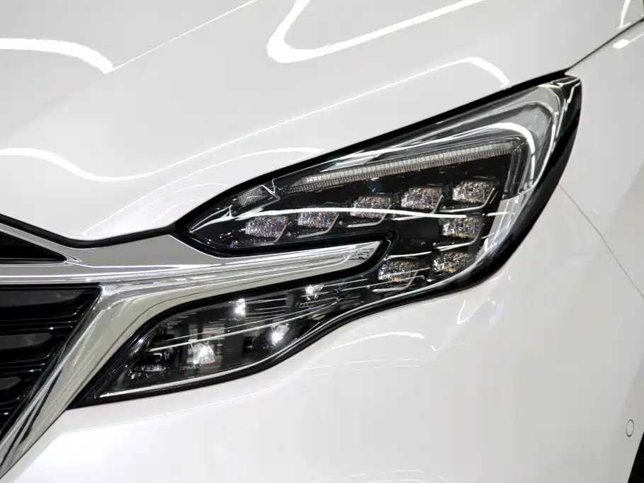 Buick GL8 — миниатюра 31