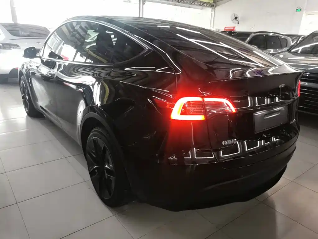 Tesla Model Y — миниатюра 5