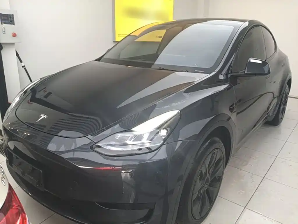 Tesla Model Y — миниатюра 3