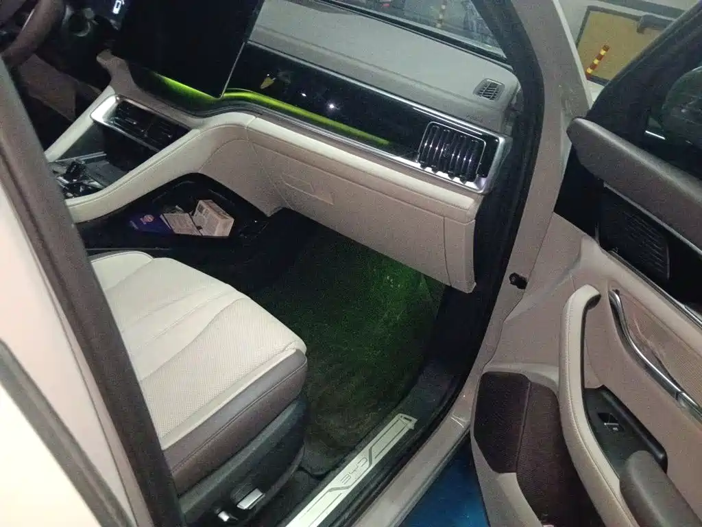 BYD PLUS New Energy — миниатюра 19