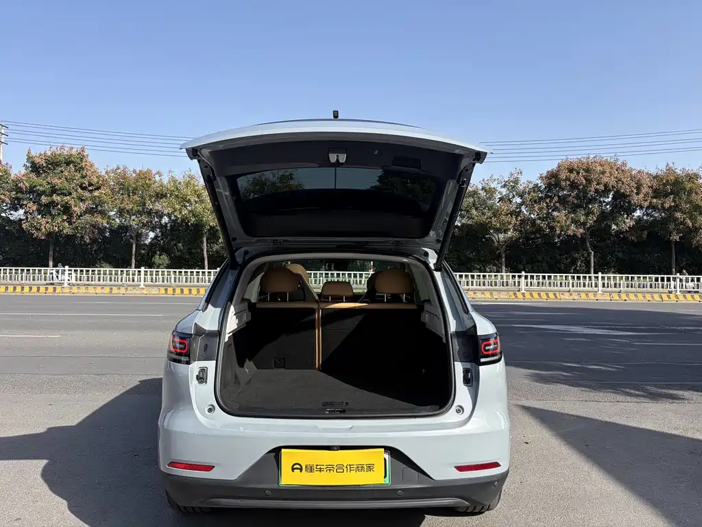 Leapmotor Leapmotor C11 — миниатюра 14