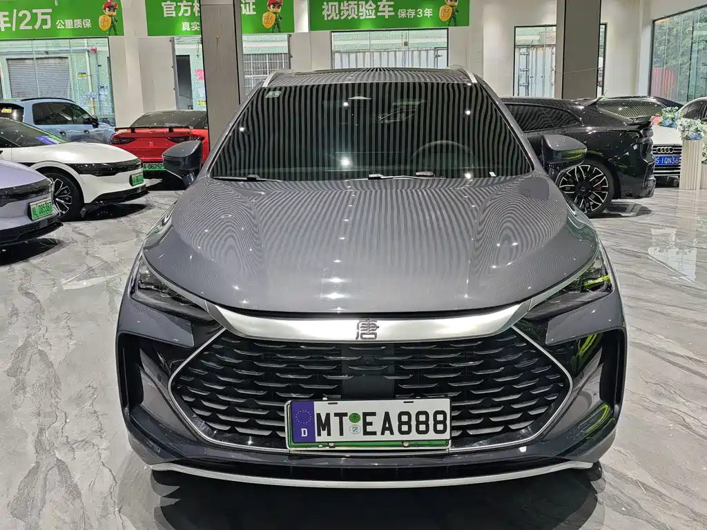BYD Tang New Energy — миниатюра 2