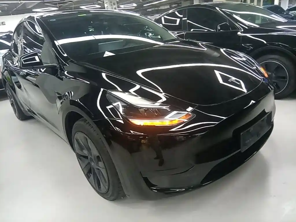 Tesla Model Y — миниатюра 4
