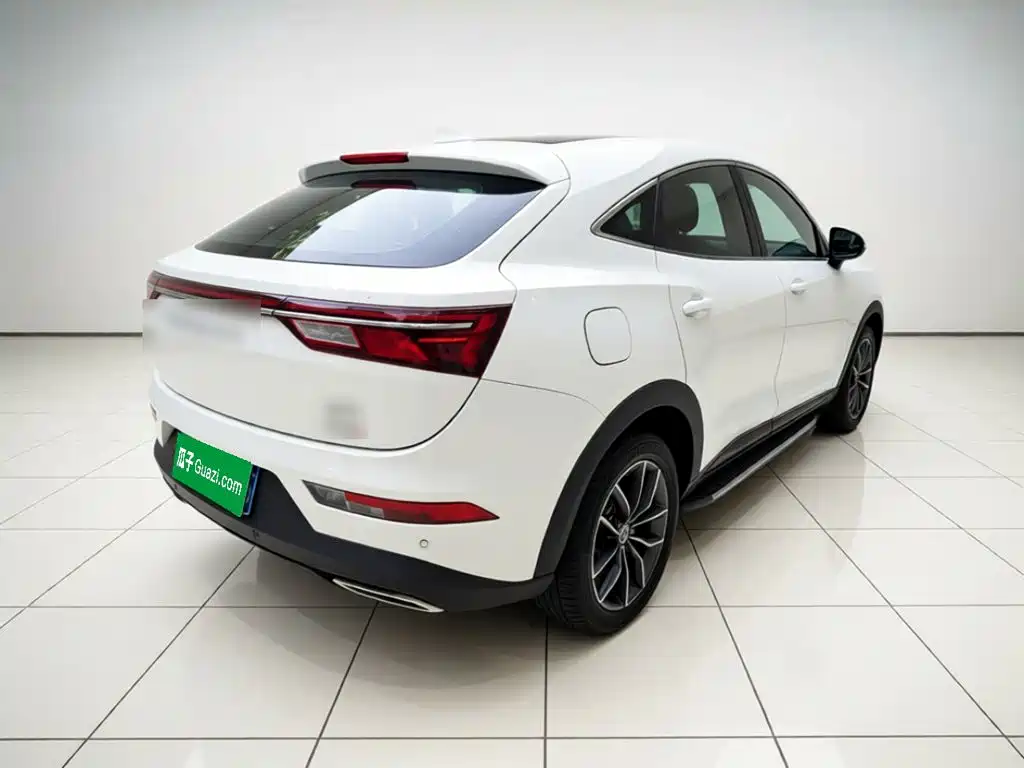Fengguang Fengguang ix5 — миниатюра 4