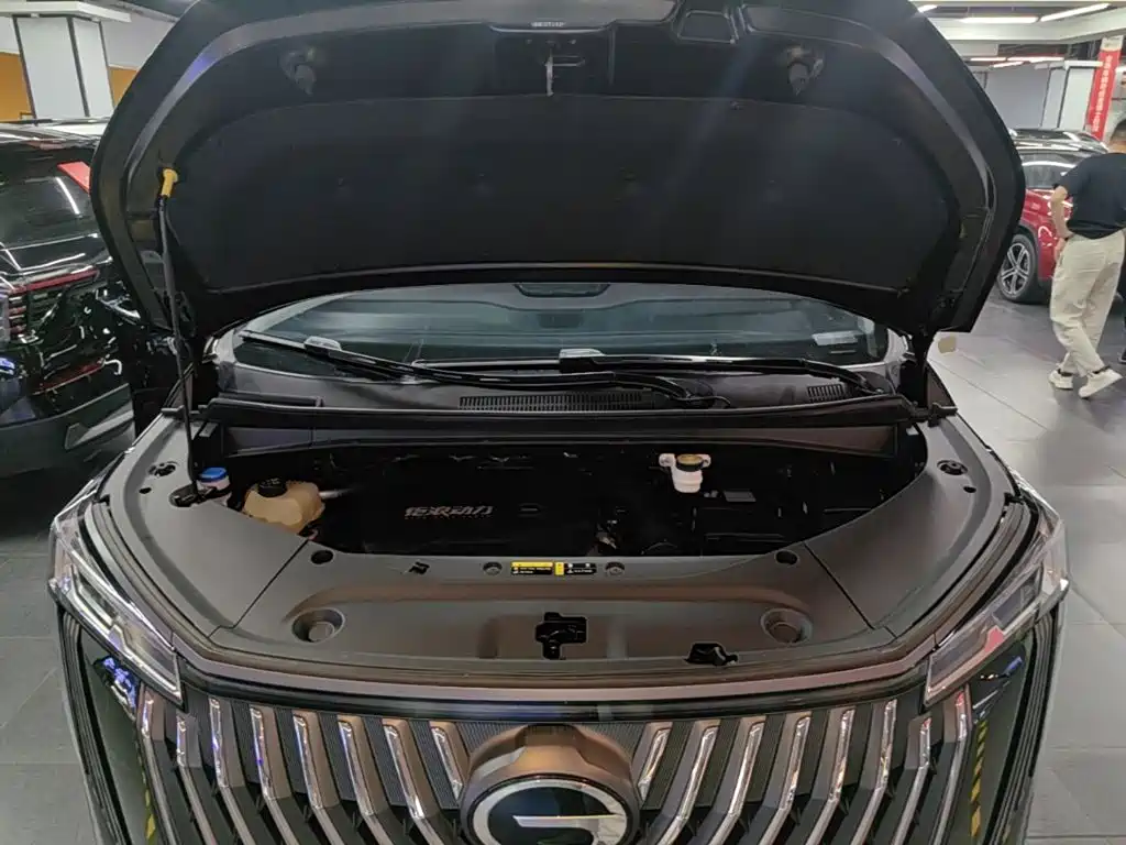 GAC Motor Trumpchi M8 — миниатюра 20
