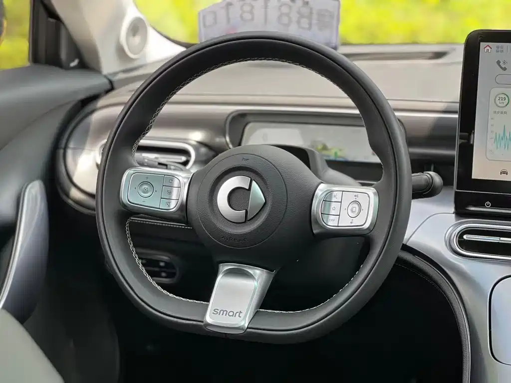 smart Smart #1 — миниатюра 11
