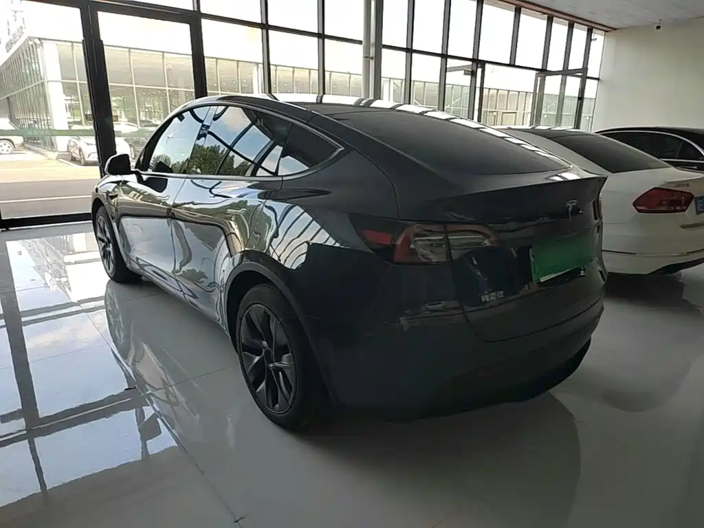 Tesla Model Y — миниатюра 5