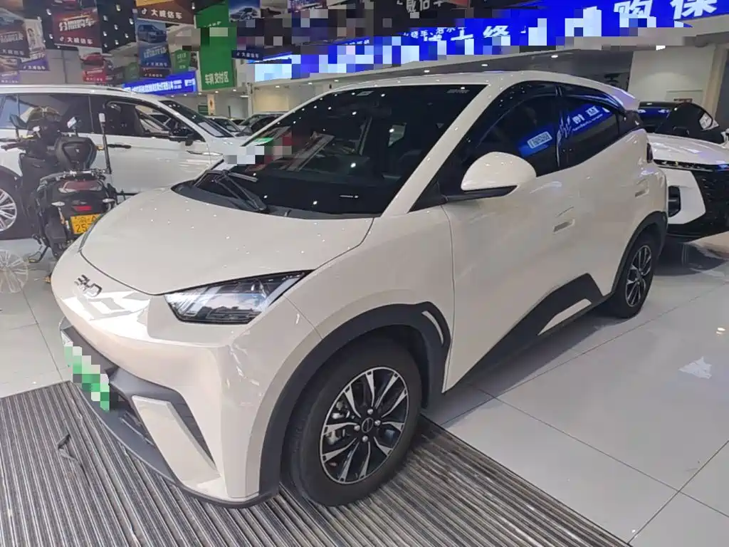 BYD Seagull 2025 305km