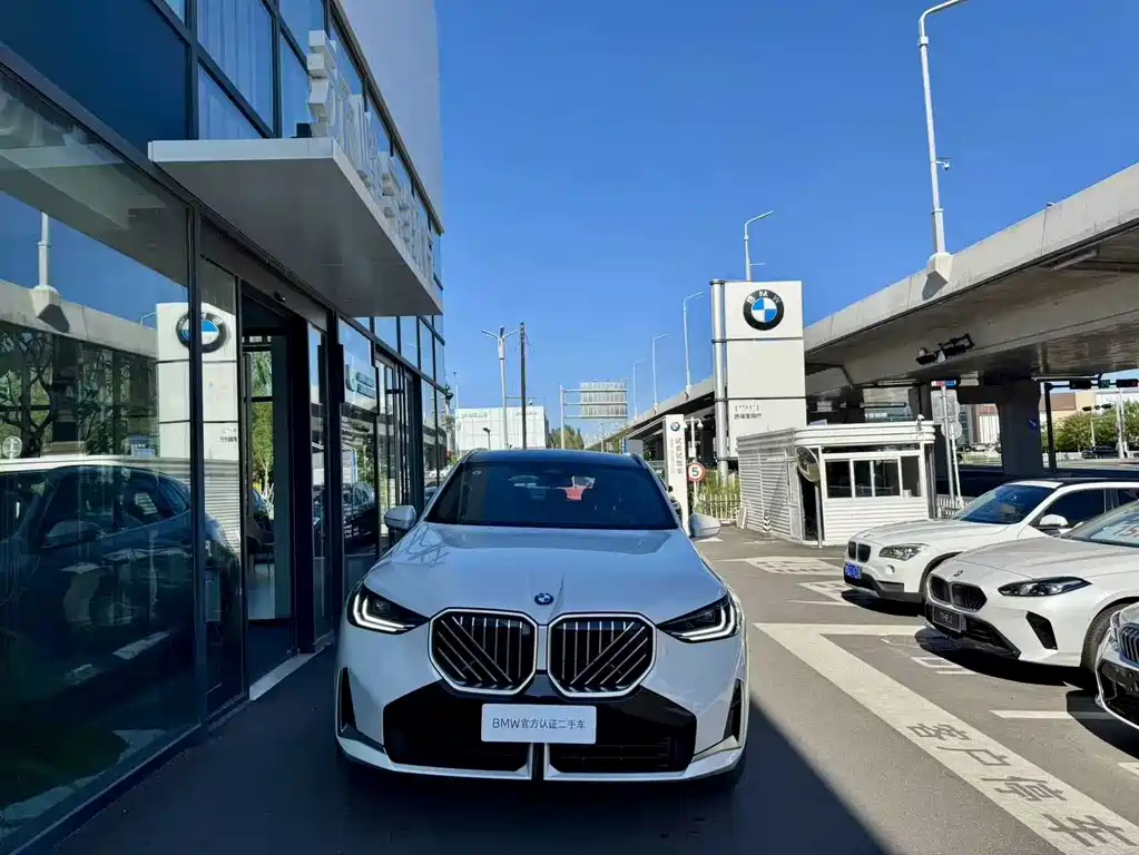 BMW X3 — миниатюра 5