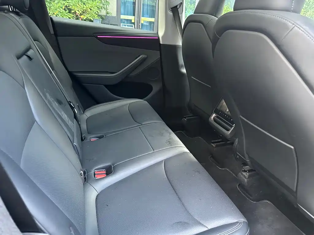 Tesla Model Y — миниатюра 8