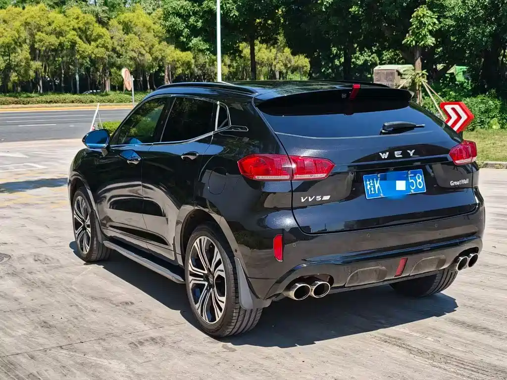 Wey Wey VV5 — миниатюра 5