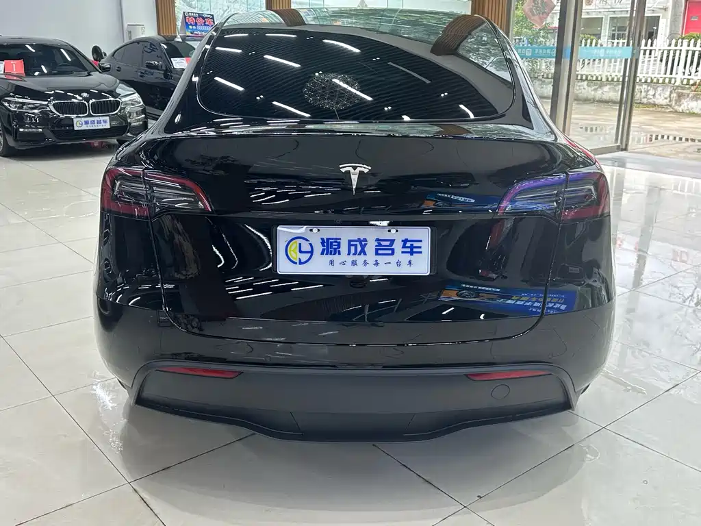 Tesla Model Y — миниатюра 7