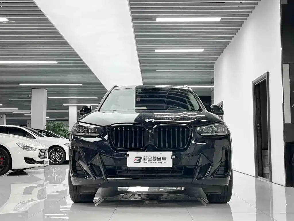 BMW X3 — миниатюра 2