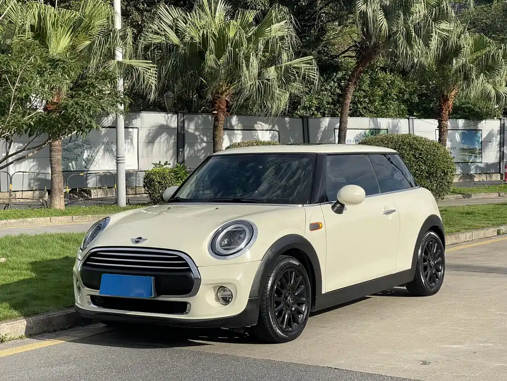 Mini Mini 2015