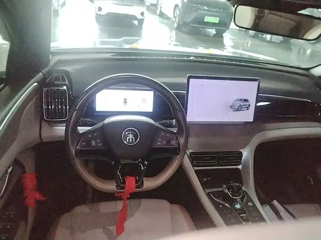 BYD Pro New Energy — миниатюра 11