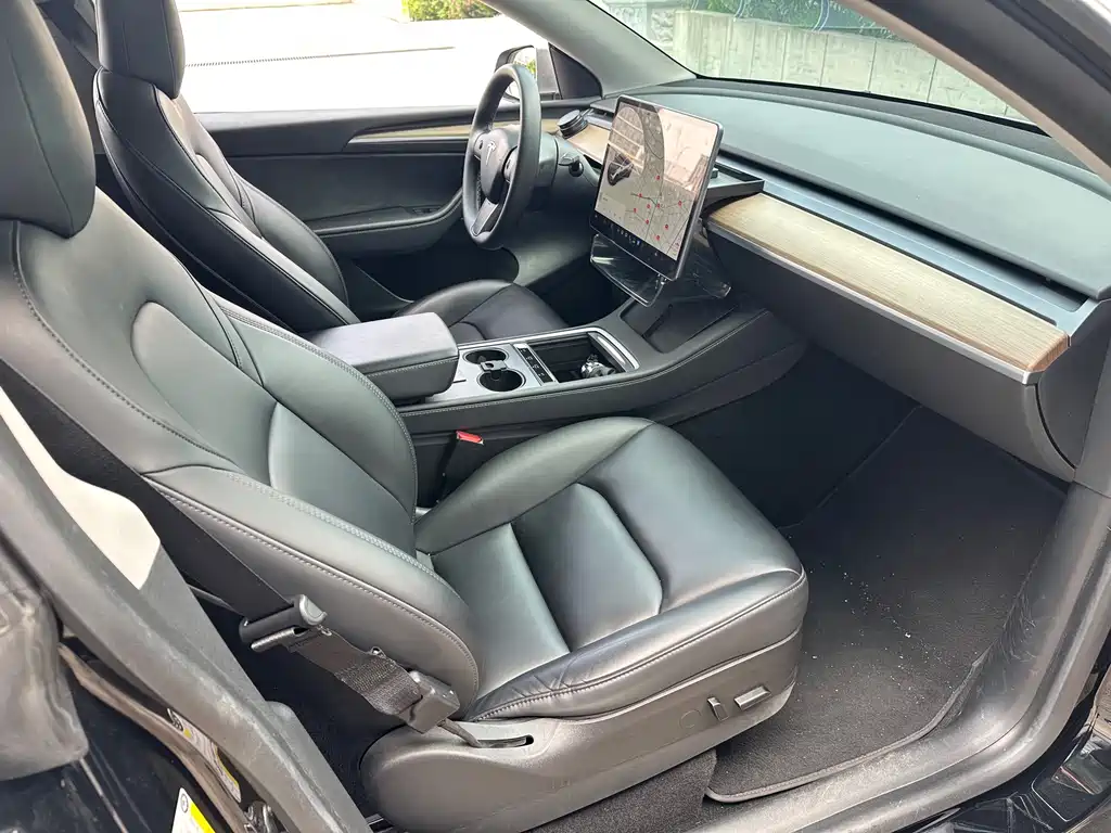 Tesla Model Y — миниатюра 24
