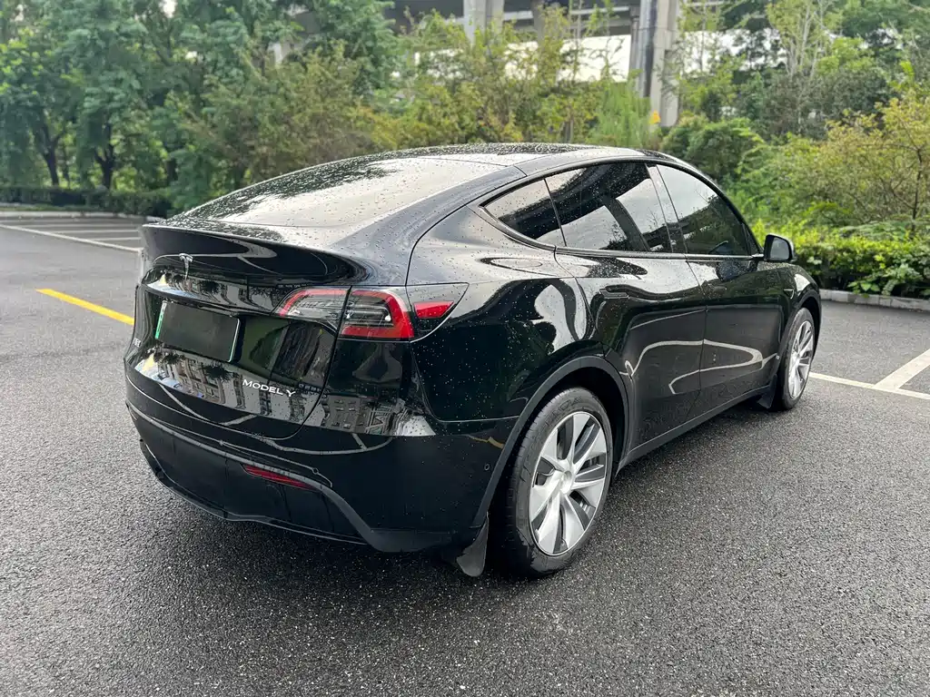 Tesla Model Y — миниатюра 5