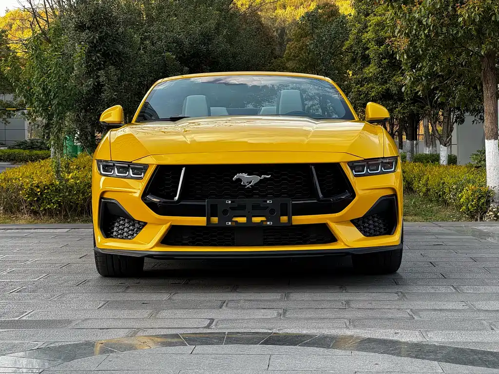 FORD MUSTANG