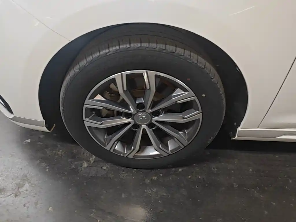 BYD MAX — миниатюра 23