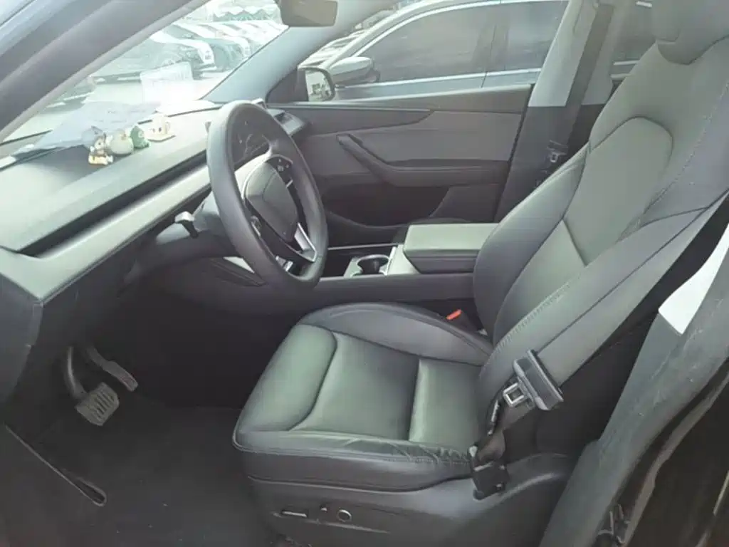 Tesla Model Y — миниатюра 15