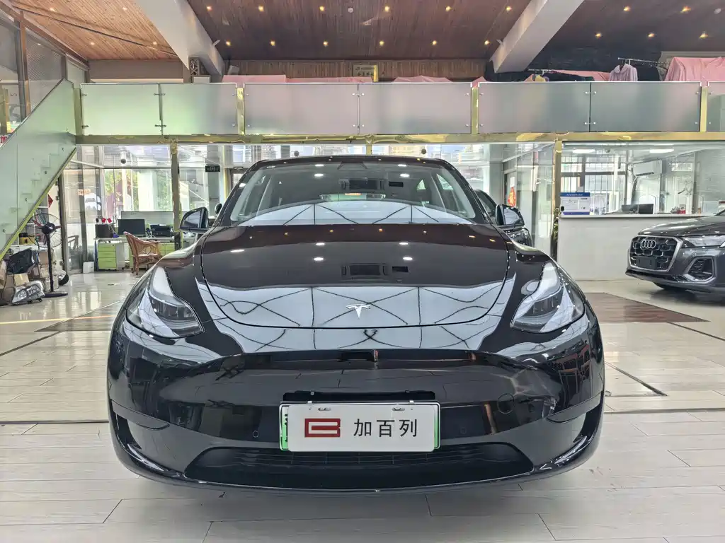 Tesla Model Y — миниатюра 2
