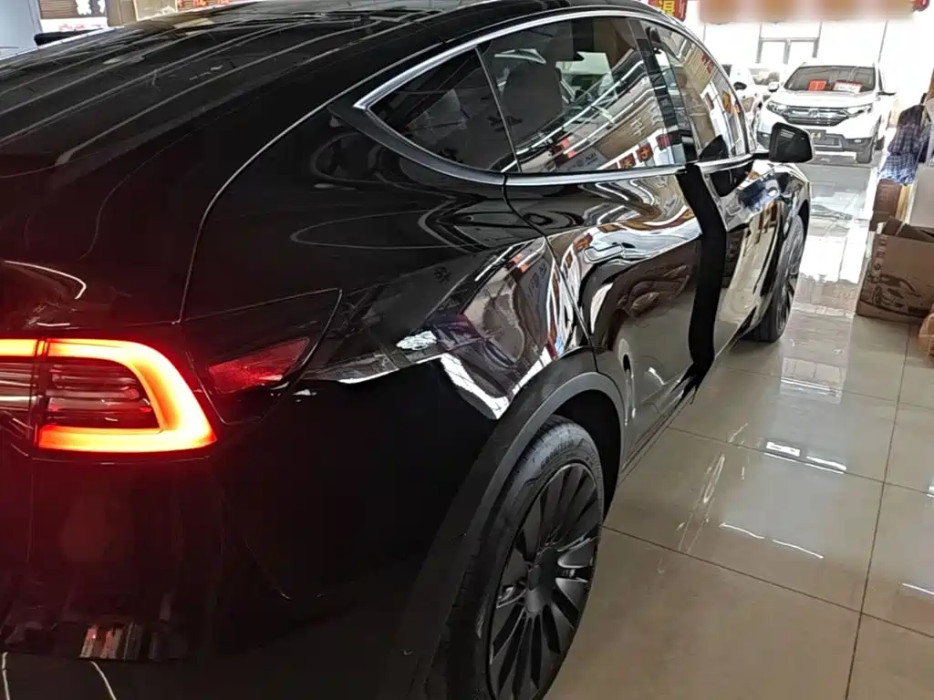 Tesla Model Y — миниатюра 7