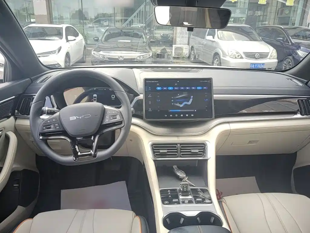 BYD PLUS New Energy — миниатюра 10