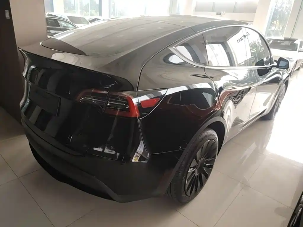 Tesla Model Y — миниатюра 7
