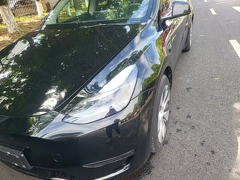 Tesla Model Y — миниатюра 24