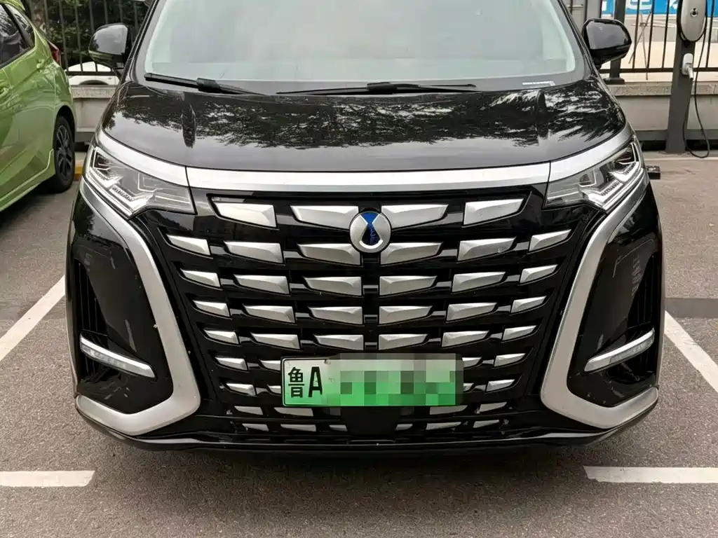 Denza Denza D9 — миниатюра 3